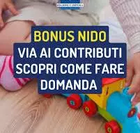 asili nido